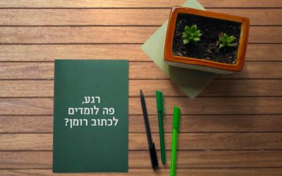 רגע, פה לומדים לכתוב רומן?